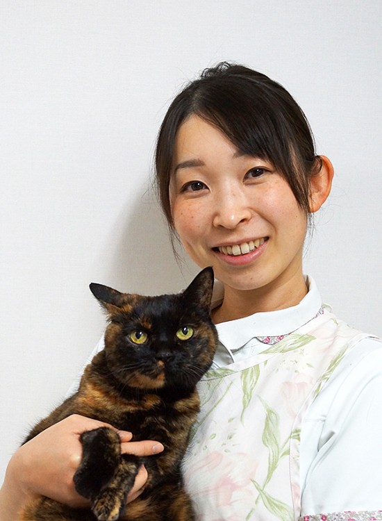 akiyo