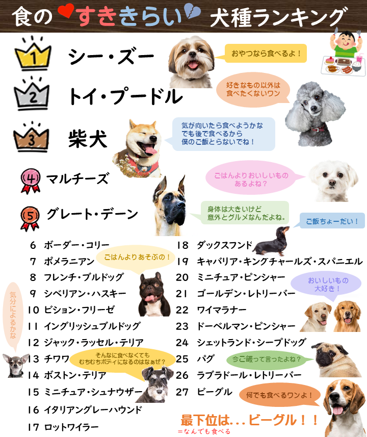 トロッコ通信９食の好き嫌いランキング